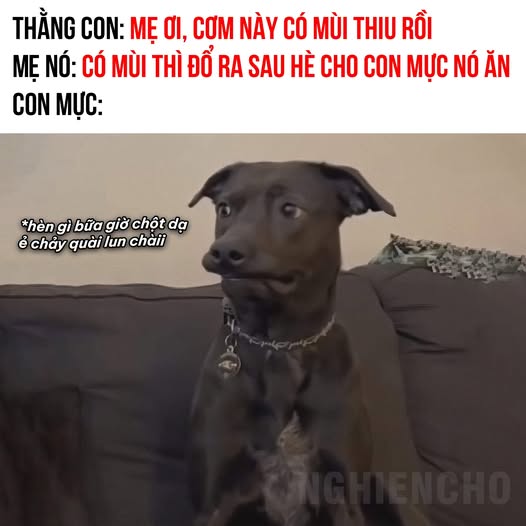 ánh mắt khinh bỉ